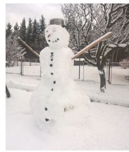 Úrazy na neuklizených chodnících Úrazy na neuklizených chodnících