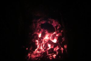 Proč provádět a nepodceňovat cvičný požární poplach Obrázek znázorňuje oheň